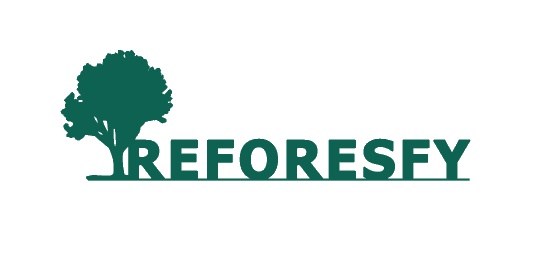 Logo de BigER