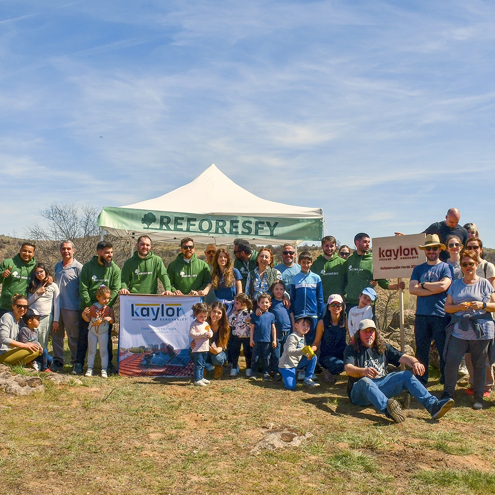 foto reforestacion